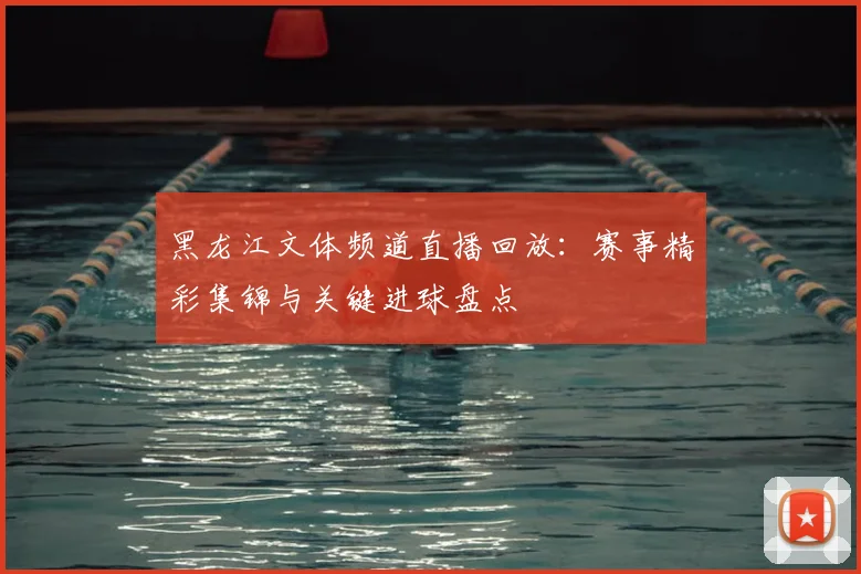 黑龙江文体频道直播回放:赛事精彩集锦与关键进球盘点