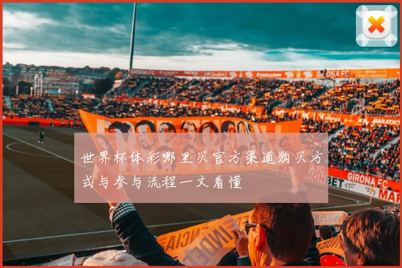 世界杯体彩哪里买官方渠道购买方式与参与流程一文看懂