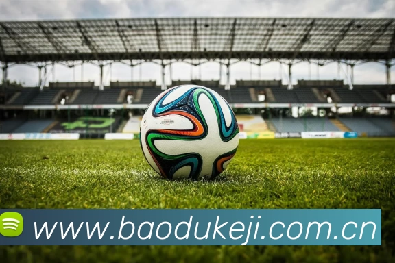 开云网页版·官方版在线 - 开云(中国)APP 封面图